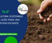 Agricultura sostenible: una guía para una gestión eficiente