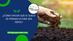 ¿Cómo hacer que el suelo de permacultura sea fértil?