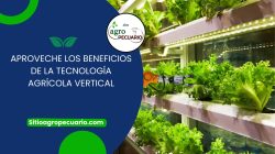Aproveche los beneficios de la tecnología agrícola vertical